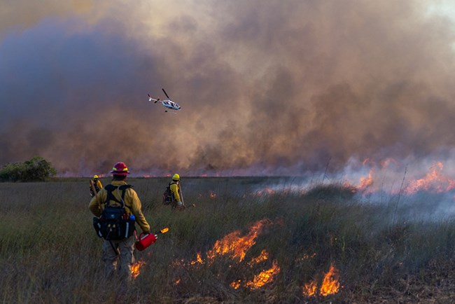 Ashes and Apparitions: Monty’s Brush with a Burning Secret