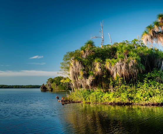 The Island of Echos: Monty and the Spectral Menagerie